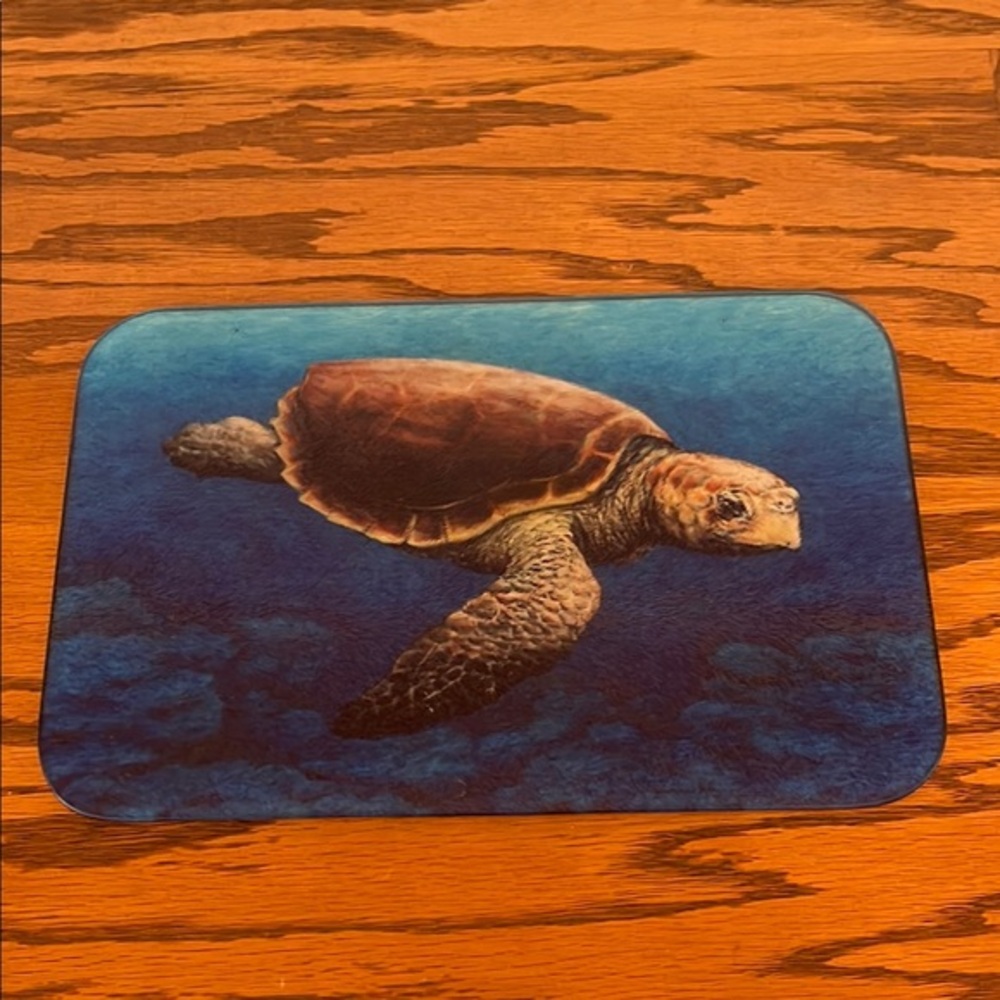Loggerhead Sea Turtle glass trivet hot plate